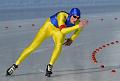 Blue yellow skater - Dequick Luc